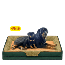 Lavish Pets Bed Plush Mattress Green Brown (Medium) Lavish Pets Bed Plush Mattress Green Brown (Medium), CS2024000147, cat Bed / Cushion, Lavish, cat Housing Needs, catsmart, Housing Needs, Bed / Cushion